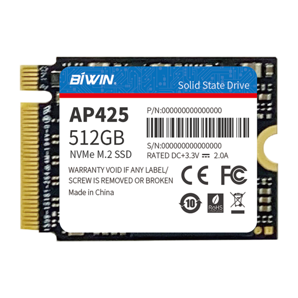 BiWin 2230 NVMe Storage