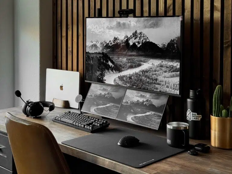 Portable Monitors